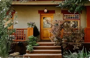 frontsteps with trees