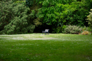 empty bench